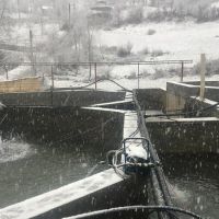 فروش استخر پرورش ماهی در تالش