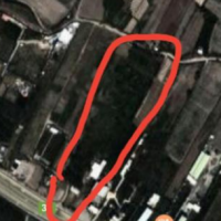 فروش 18000 متر گاوداری و باغ در زنجان