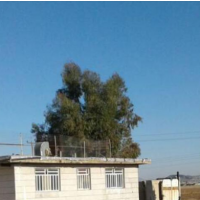 فروش 1700 متر انبار در فسا