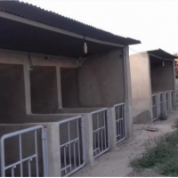 فروش 1500 متر دامداری در حومه قرچک