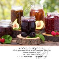 سازنده ماشین آلات خط تولید مربا , مارمالادو پوره میوه جات