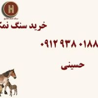 خرید اینترنتی سنگ نمک دامی قیمت بسیار استثنایی