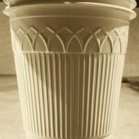 فروش کارخانه ظروف گیاهی واقع در همدان