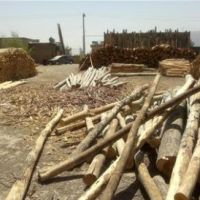 معاوضه و فروش گاراژ 3000 متری در فلاورجان