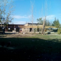 فروش یا اجاره 1000 متر دامداری در آق قلا