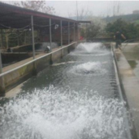 فروش 3500 متر استخر پرورش ماهی و باغ در مازندران