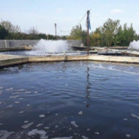 استخر پرورش ماهیِ سردابی فروشی و معاوضه در ساری