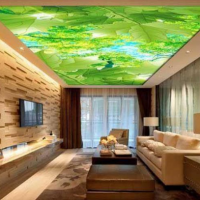 تولید مستقیم سقف مجازی در قم