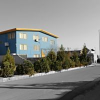 فروش کارخانه صنایع غذایی مرغ ماکیان در تهران