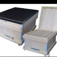 تولیدی کندوی  زنبور عسل عالی باچوب سپیدار