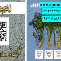 زئولیت در کشت هیدروپونیک