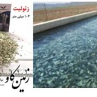 بررسی اثرات زئولیت بر خوراک میگو ها(Zeolite)