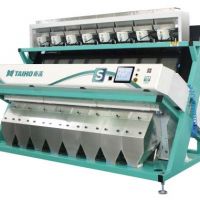 سورتینگ برنج