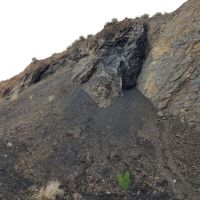 فروشنده معدن زغال سنگ زرند