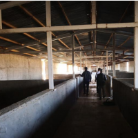 فروش 40000متر مزرعه پرورش شترمرغ در ساوه