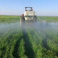 فروش استخر پرورش ماهی  در نظر آباد