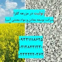 فروش زئولیت در کشت کلزا