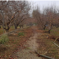 فروش 30000 متر زمین در اتوبان تهران