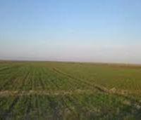 فروش زمین کشاورزی میانه
