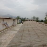 فروش یا معاوضه مرغداری واقع در گرگان