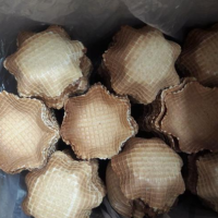 فروش و تولید انواع نان بستنی