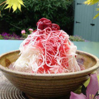 تولید و پخش رشته فالوده بستنی