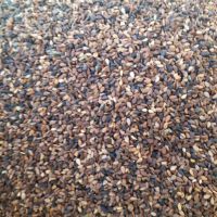 واردات و فروش عمده کنجد قهوه ای مرغوب افغانی  تناژ بالا در تهران