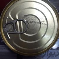 فروش کارخانه تولیدی تن ماهی در اصفهان