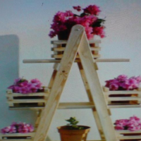 تولید وپخش شلف واستند در استان کرمانشاه