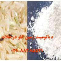 خاصیت ضد آفتی دیاتومیت Diatomite