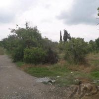 فروش زمین کشاورزی برای باغ سرنجیانه در سنندج