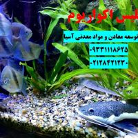 شن سیلیس کف آکواریوم