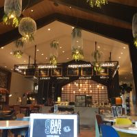 مشاوره طراحی داخلی دکور و دیزاین کافه