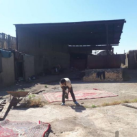 فروش قالی شوئی در تهران