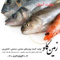 زئولیت در پرورش آبزیان (Zeolite)