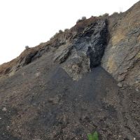 معدن زغال سنگ فروش در زرند