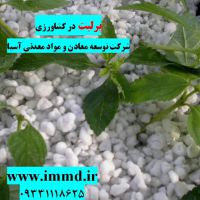 کاربرد پرلیت درکشاورزی