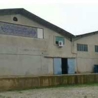 فروش تجهیزات و سوله دوقلو سردخانه آمونیاکی در مرز مهران