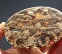 آموزش جهت اشتغالزایی جهت خانمها و آقایان