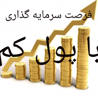 فرصت سرمایه گذاری برای صنعتگران