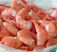 فروش عمده میگو صید روز