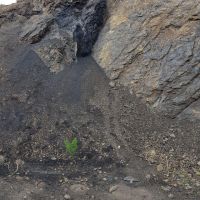 خرید و فروش معدن زغال سنگ در زرند