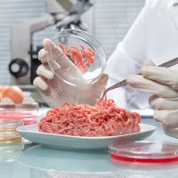 تجهیزات آزمایشگاهی کارخانه همبرگر گوشت ومرغ-لقمان پژوهش