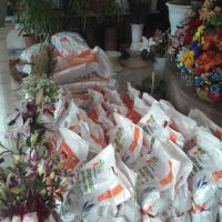 تولید کود ارگانیک سلولزی خاک برگ پاجی