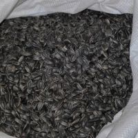 Продам подсолнух оптом Мешхед