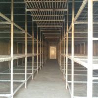 کارخانه تازه تاسیس پرورش قارچ در کرمانشاه شهرستان صحنه