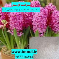 فروش پرلیت و کوکوپیت