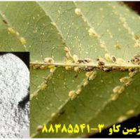 پرلیت در تولید سموم و آفت کش ها Perlite