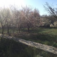 فروش ویلا محمد شهر کرج