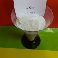 فروش ویژه فلورین